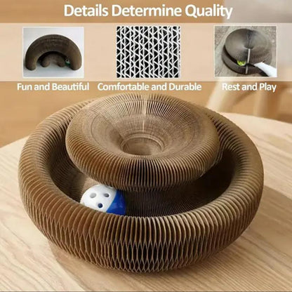 Magic Cat Scratcher Board with Jingle Ball – Interactive Indoor Toy