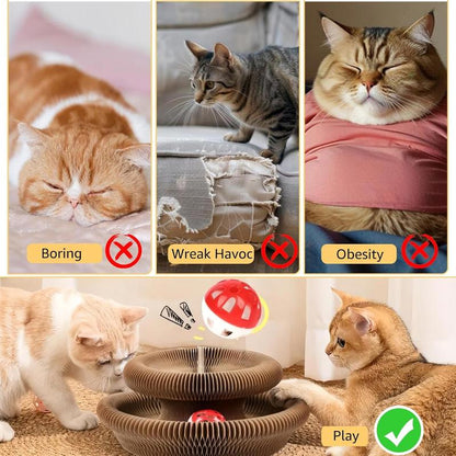 Magic Cat Scratcher Board with Jingle Ball – Interactive Indoor Toy